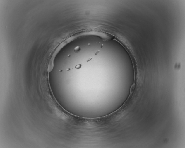 X0000112510481200908241424