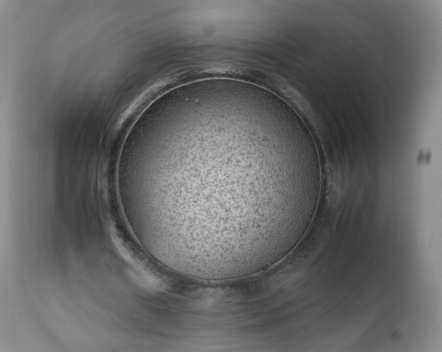 X0000112510482200908241424