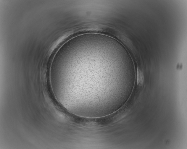 X0000112510483200908241424