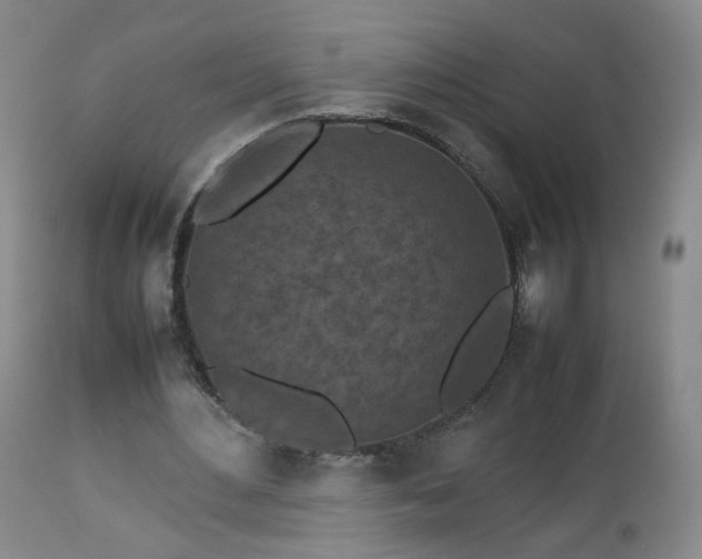 X0000112510484200908241424