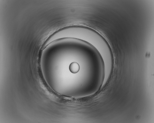 X0000112510485200908241424