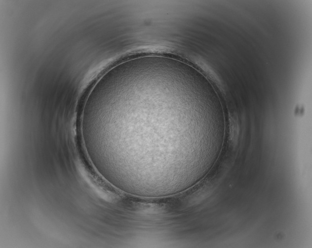 X0000112510486200908241424