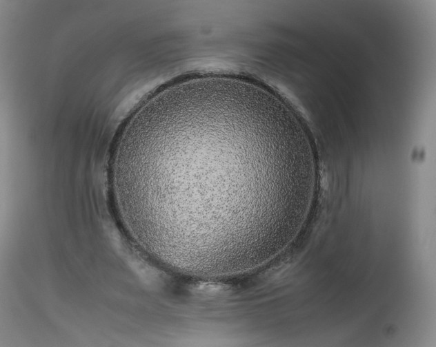 X0000112510487200908241424