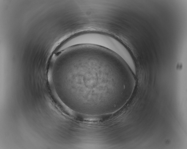 X0000112510488200908241424