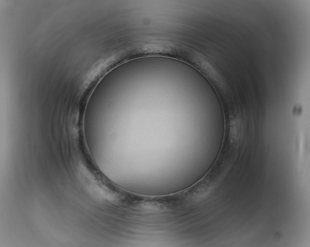 X0000112510490200908241423