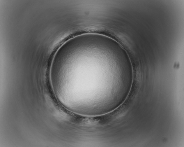 X0000112510491200908241423