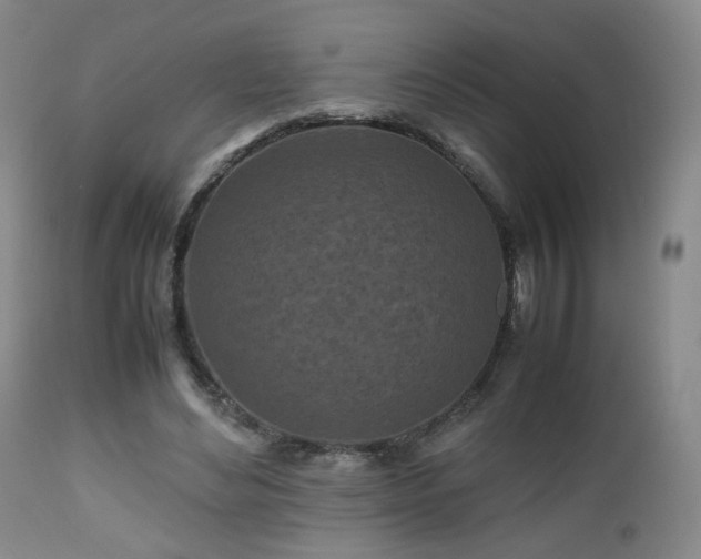 X0000112510492200908241423