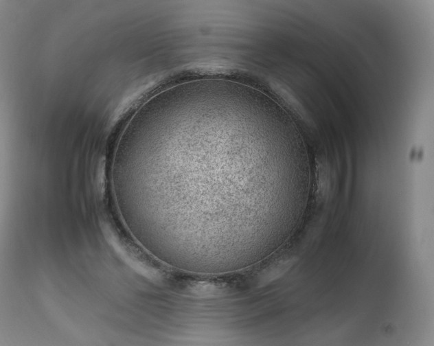 X0000112510494200908241423