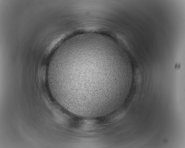 X0000112510495200908241423