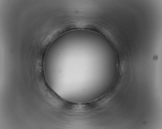 X0000112510497200908241423