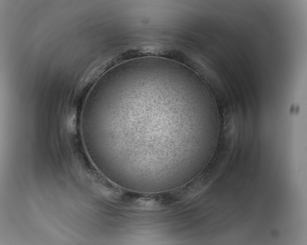 X0000112510502200908241423