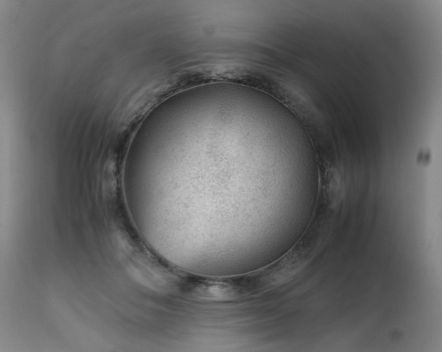 X0000112510506200908241423