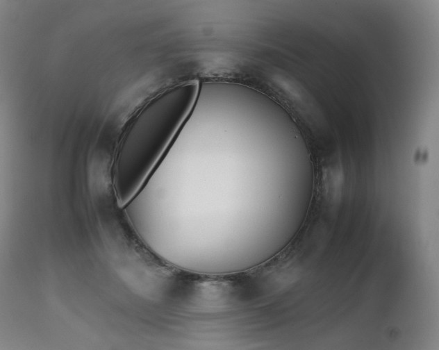 X0000112510508200908241423