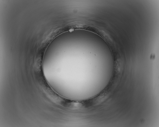 X0000112510509200908241423