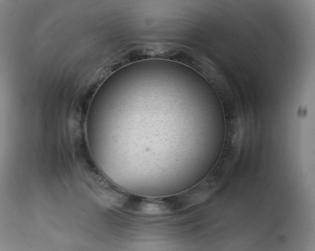 X0000112510510200908241423