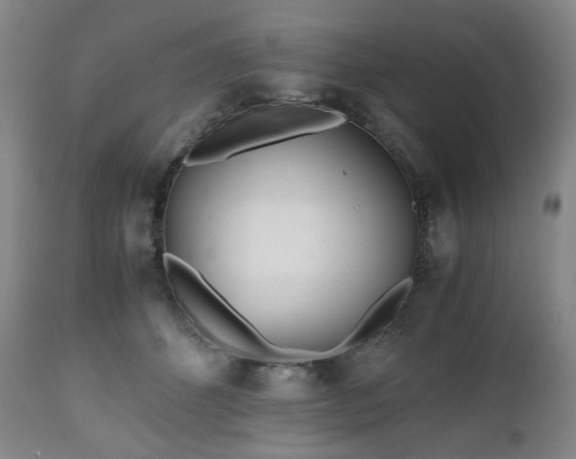 X0000112510512200908241423