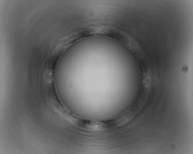 X0000112510514200908241423