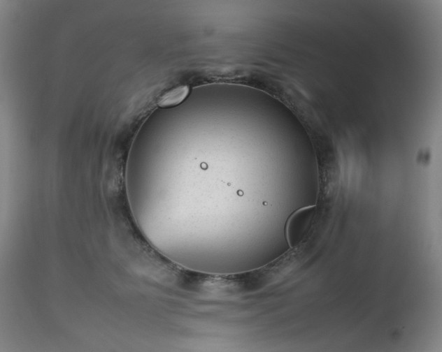 X0000112510515200908241423