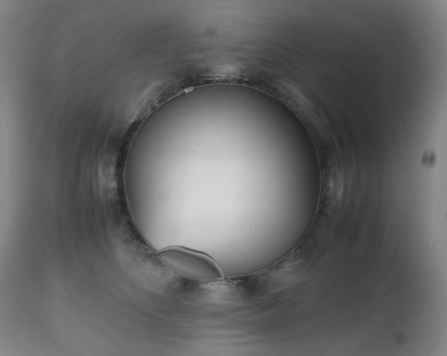 X0000112510516200908241423