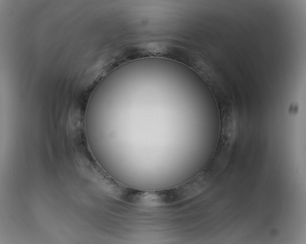 X0000112510518200908241423