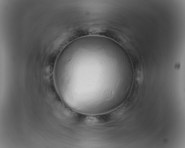 X0000112510519200908241423