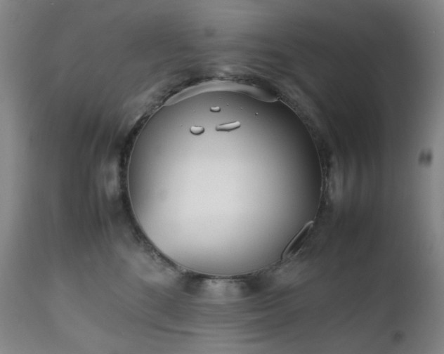 X0000112510520200908241423