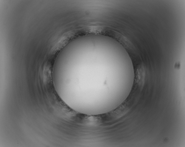 X0000112510522200908241423