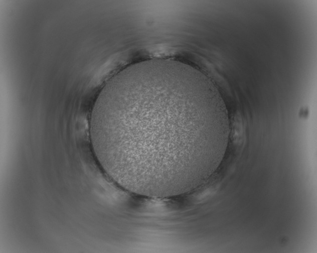 X0000112510523200908241423