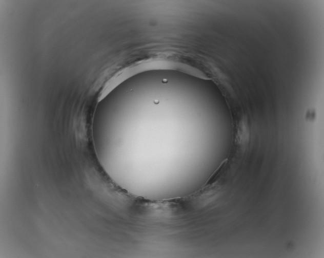 X0000112510524200908241423