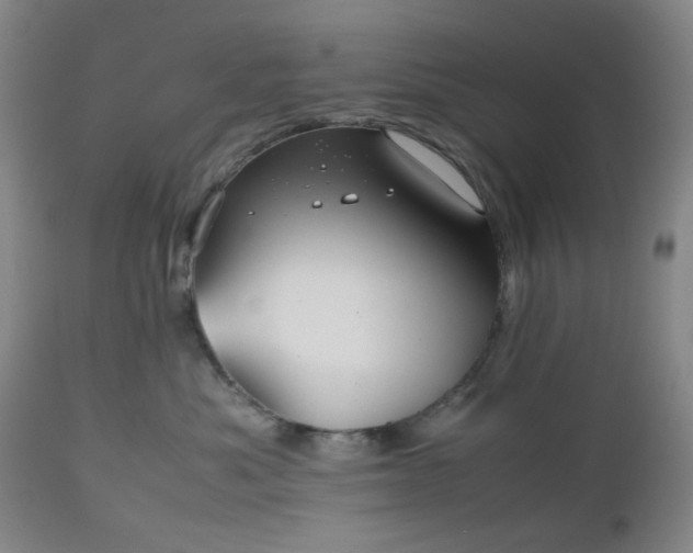 X0000112510525200908241423