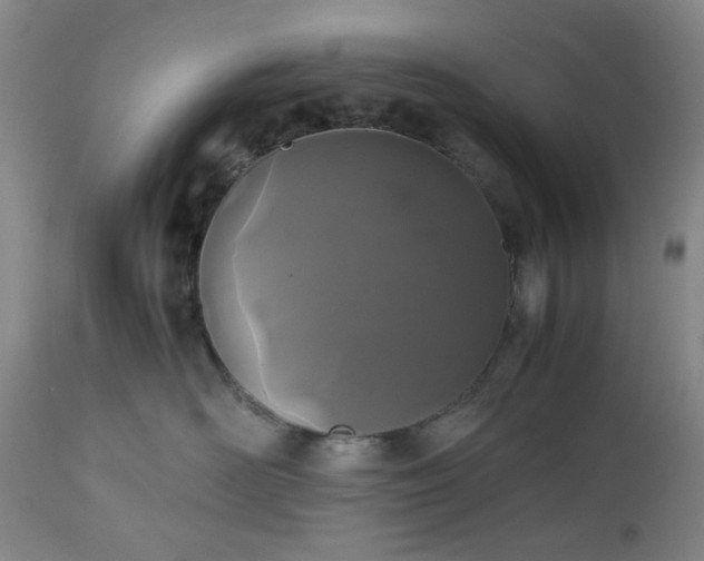 X0000112510526200908241423