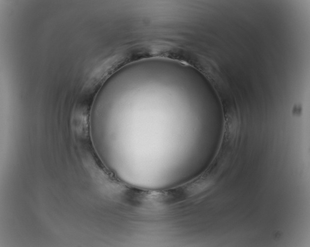 X0000112510527200908241423