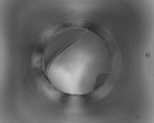 X0000112510528200908241423