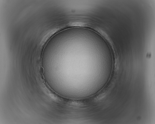 X0000112510529200908241422