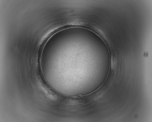 X0000112510531200908241422