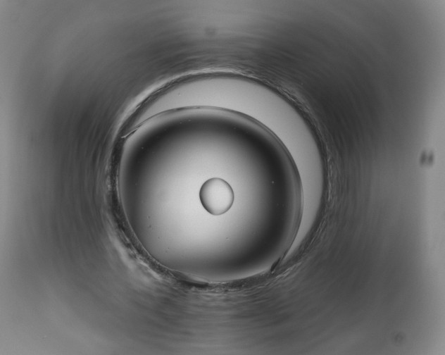 X0000112510532200908241422