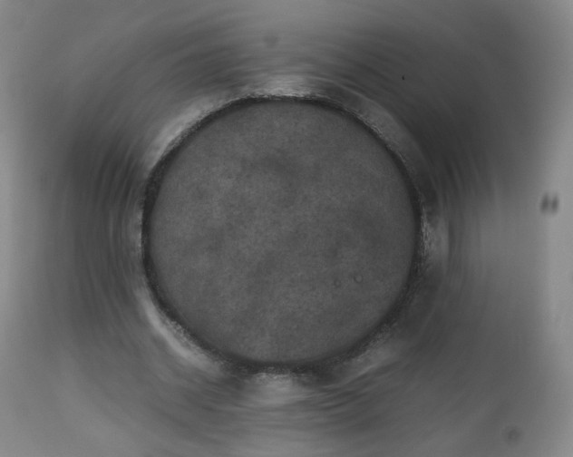 X0000112510534200908241422