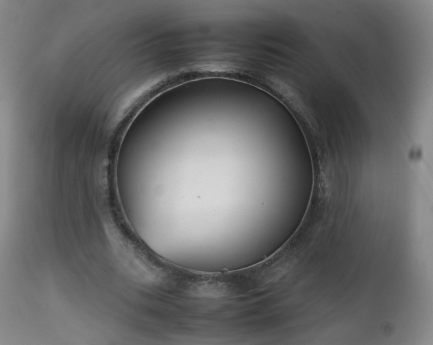 X0000112510535200908241422