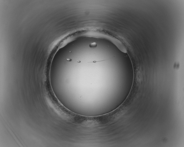 X0000112510536200908241422