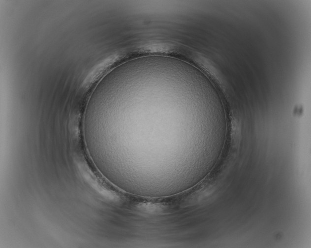 X0000112510537200908241422