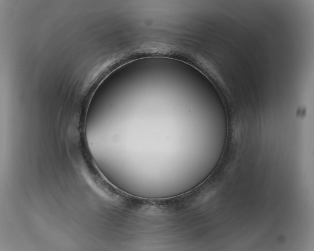 X0000112510538200908241422