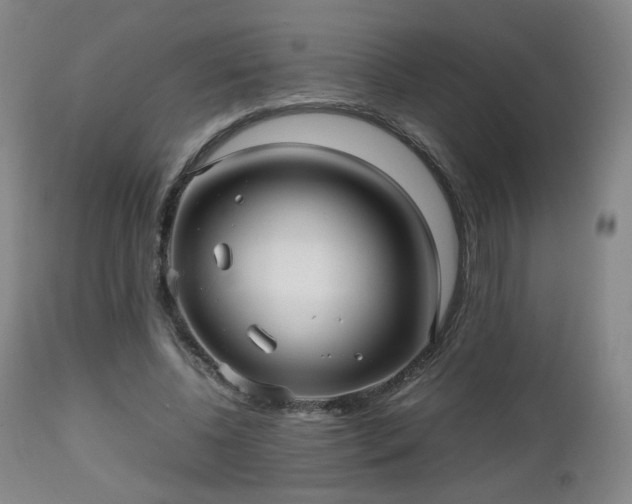 X0000112510540200908241422