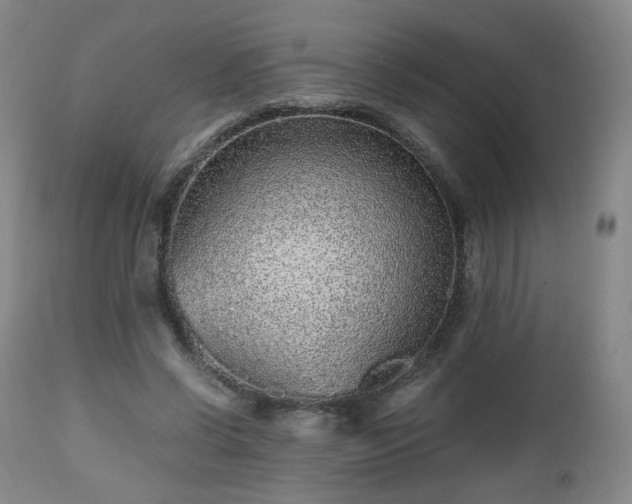 X0000112510542200908241422