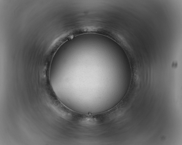 X0000112510543200908241422