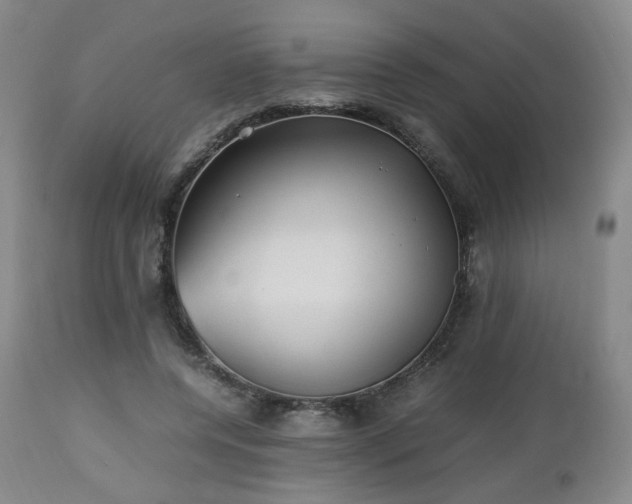 X0000112510544200908241422