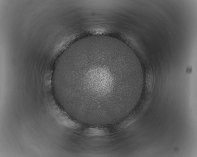 X0000112510545200908241422