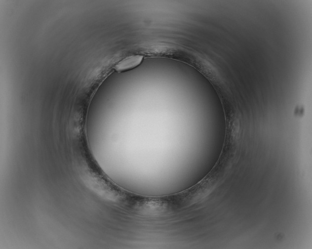 X0000112510546200908241422