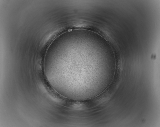 X0000112510547200908241422