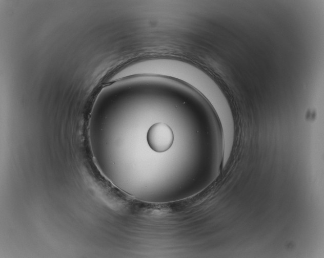 X0000112510548200908241422