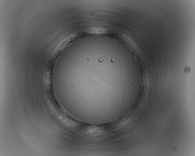 X0000112510549200908241422